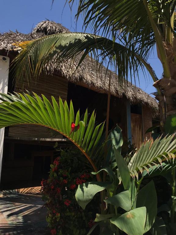 Condominio Agave Del Mar Coyuca de Benitez Exterior photo